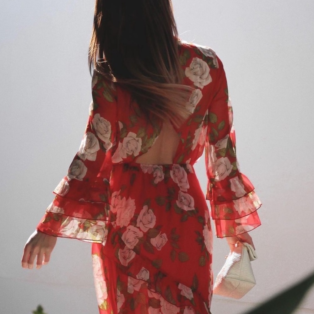 Zara Ruffled Dress - Picture 7 of 7